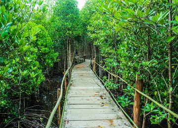 Photo by icon0.com from Pexels