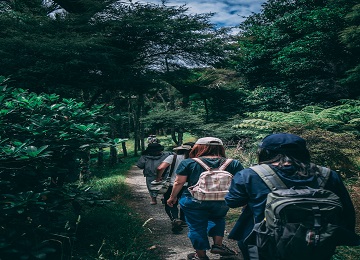 Photo by Kai-Chieh Chan from Pexels